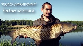 Zestaw na amuraPoradnikOdjazd GwarantowanyKarp Max [upl. by Primaveras229]