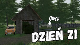 Zainwestowałem w OWCE Farming Simulator 22 Dzień 21 [upl. by Naujid]