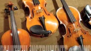 Williams Fine Violins [upl. by Goto]