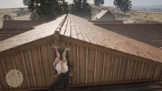 RDR2 climbing glitch [upl. by Bussey]