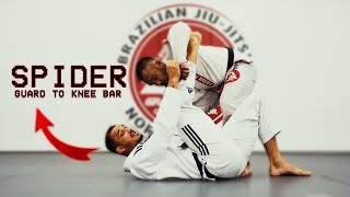 Spider Guard to Knee Bar by Romulo Barral [upl. by Pettifer]