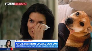 Angie Harmon Tearfully Speaks Out After Driver Shoots Dog [upl. by Frazer]