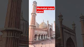 Bahut pyara masjid shorts trending islamicvideo masjid [upl. by Enairda]