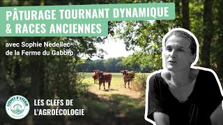 PÂTURAGE TOURNANT DYNAMIQUE avec la Ferme du Gabbro [upl. by Vins]