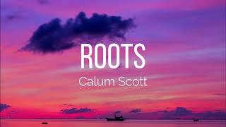 Calum Scott  Roots Lyrics [upl. by Lindi]