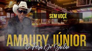 CD COMPLETO AMAURY JUNIOR 2021 [upl. by Allemap892]