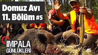 Domuz Avı 5 impala Günlükleri 11Bölüm  Yaban Tv  Wildboar Hunting  Selçuk Poslu  Turkey [upl. by Reppart]