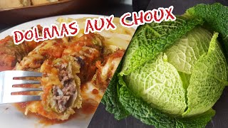 Recette des choux farcie a la viande hachée rapide et facile  cookRoutine [upl. by Eniamirt960]