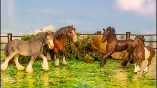 Schleich Pferde bestimmen  Quiz – Schleich Pferde Rassen [upl. by Nosraep230]