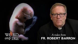 Bishop Barron on Abortion and Health Care [upl. by Audras]