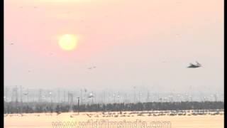 Triveni Sangam  the intersection of Yamuna and Ganges rivers [upl. by Daile859]