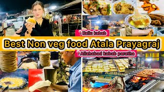 Nonveg food of Atala Road Old Allahabad Atala food Allahabad food cornerkallu kabab prayagraj [upl. by Ahtrim]