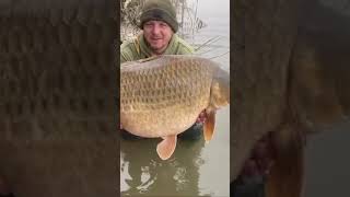 PB58lb fishing carpe carpfish frenchcarp francecarpfishing carps carp carpangling carping [upl. by Acinoev656]