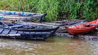 Maica Lake Nature Cruise  Santarem Amazonia Brazil [upl. by Delorenzo]