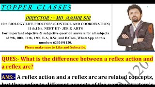 What is the difference between a reflex action and a reflex arc [upl. by Vizza]