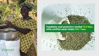 ISSDSahel Project Strengthens Seed Sector in Mali and Niger [upl. by Glorianna]