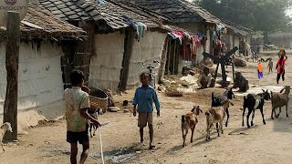 Rural Life India  How Do Poor People Live In The Village  Village Life UP [upl. by Oetam]