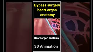 Bypass surgery heart organ anatomy l youtubeshorts neet mbbsmotivation viral [upl. by Amado150]