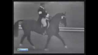 Olympic Games 1964  Dressage [upl. by Nnayllas753]