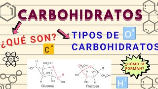 QUE SON LOS CARBOHIDRATOS Y COMO SE CLASIFICAN l MONOSACÁRIDOS DISACÁRIDOS Y POLISACÁRIDOS [upl. by Aimil91]