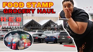 HEB EBT FOODSTAMP GROCERY HAUL FOR A SINGLE MOM OF 4 [upl. by Robina]