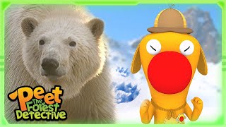 Where Did The Polar Bears Go 🐻🔎  Full Episode  Cartoons for Kids  Peet The Forest Detective [upl. by Namad]