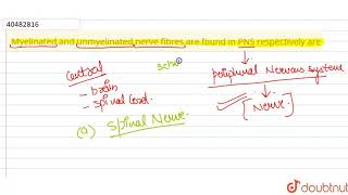 Myelinated and unmyelinated nerve fibres are found in PNS respectively are [upl. by Pacificas]