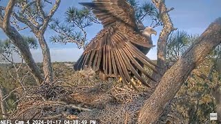 Gabby Chases Off Intruder [upl. by Imim]