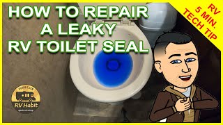 How To Repair or Replace A Leaky RV Toilet Flush Gasket–Dometic 300 Series–RV Maintenance–RV Repair [upl. by Ykroc]