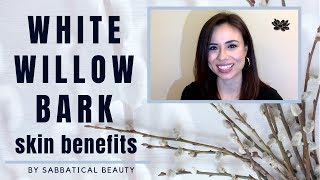 WHITE WILLOW BARK BENEFITS  NO MORE CONGESTED SKIN W SALICIN [upl. by Gabriela180]