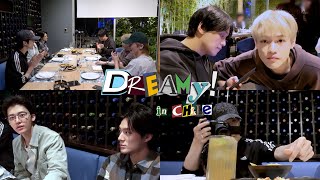 남은 투어도 진지하게 우리 진짜 잘해보자 💚  Dreamy in Chile [upl. by Lorusso]