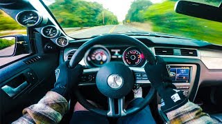 CAMMED GT500 Super Snake Pulls Exhaust Pov  Super Car VLOG [upl. by Adnilemreh364]