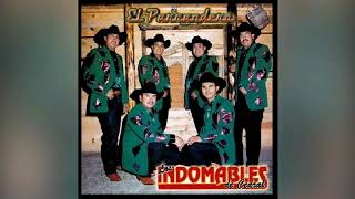 El Parrandero  Los Indomables De Cedral [upl. by Nidnarb]