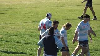 Lions v Narrabri reserve grade tries today [upl. by Leahpar]