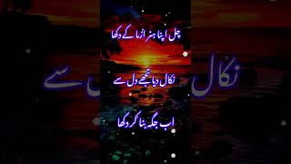 CHAL APNA HUNAR AZMA KY DEKHA subscribemychannel sadshayaristatus sadpoetry verysadpoetryinurdu [upl. by Templer]