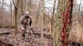 Tracking Wounded Deer [upl. by Marmawke]