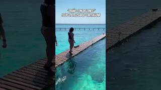 quotOCEANARIO CARTAGENAquot🇨🇴travel vacation shortsviral ocean delfines dolfin beautiful playa 🌊🤿🐬 [upl. by Jamel]