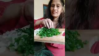 Hare pyaj ki sabji aise banao ki khane wale 4 roti khye bahut hi tasty easy recipe sabji h [upl. by Enetsirk740]