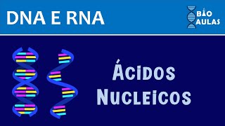 Estrutura dos Ácidos Nucleicos DNA e RNA  Bioquímica Bio Aulas [upl. by Macleod396]