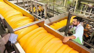 Cheese production process and interesting facts about it  LV Satisfying [upl. by Romie]