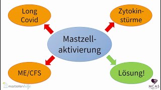 Gesundheitspolitik aktuell  Das Mastzellaktivierungssyndrom MCAS SEB Zweiter Termin [upl. by Severen]