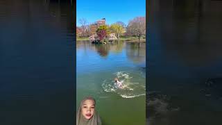 Skim board fail funny fun [upl. by Saxet]