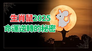 生肖鼠2025年運勢竟然如此？你絕對想不到的驚人變化！命運轉折竟然取決於這個細節！ 2024生肖鼠運勢 2024属鼠运势 2024属鼠运程 2024生肖鼠運程 [upl. by Ennaear490]