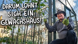 Gewächshaus im eigenen Garten 🌿  Aufbau und Qualität im Test [upl. by Riobard]