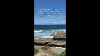 The Surf Shack at Windansea Beach [upl. by Rehoptsirhc448]