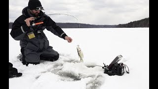 Ice Fishing Lake Wilhelm 2019 Catching STACKED Crappie and Bluegill  Western Pennsylvania Hardwater [upl. by Reich]