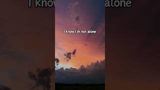 Alan Walker Alone Lyrics [upl. by Vina]