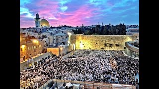 אם אשכחך ירושלים LIVE טל ועקנין  Em Eshkachech Yerushalayim LIVE Tal vaknin [upl. by Anh]