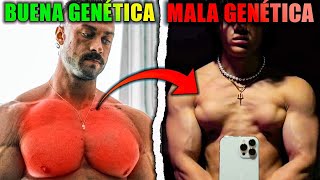 CÓMO Saber Si TENGO BUENA GENÉTICA DE PECTORAL 🤯 El Análisis [upl. by Estelle728]