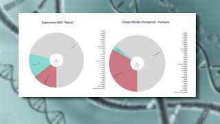 Dr Ricardo Rangel Preliminary report DNA Study Nazca Tridactyl Mummies Video [upl. by Anaicul]